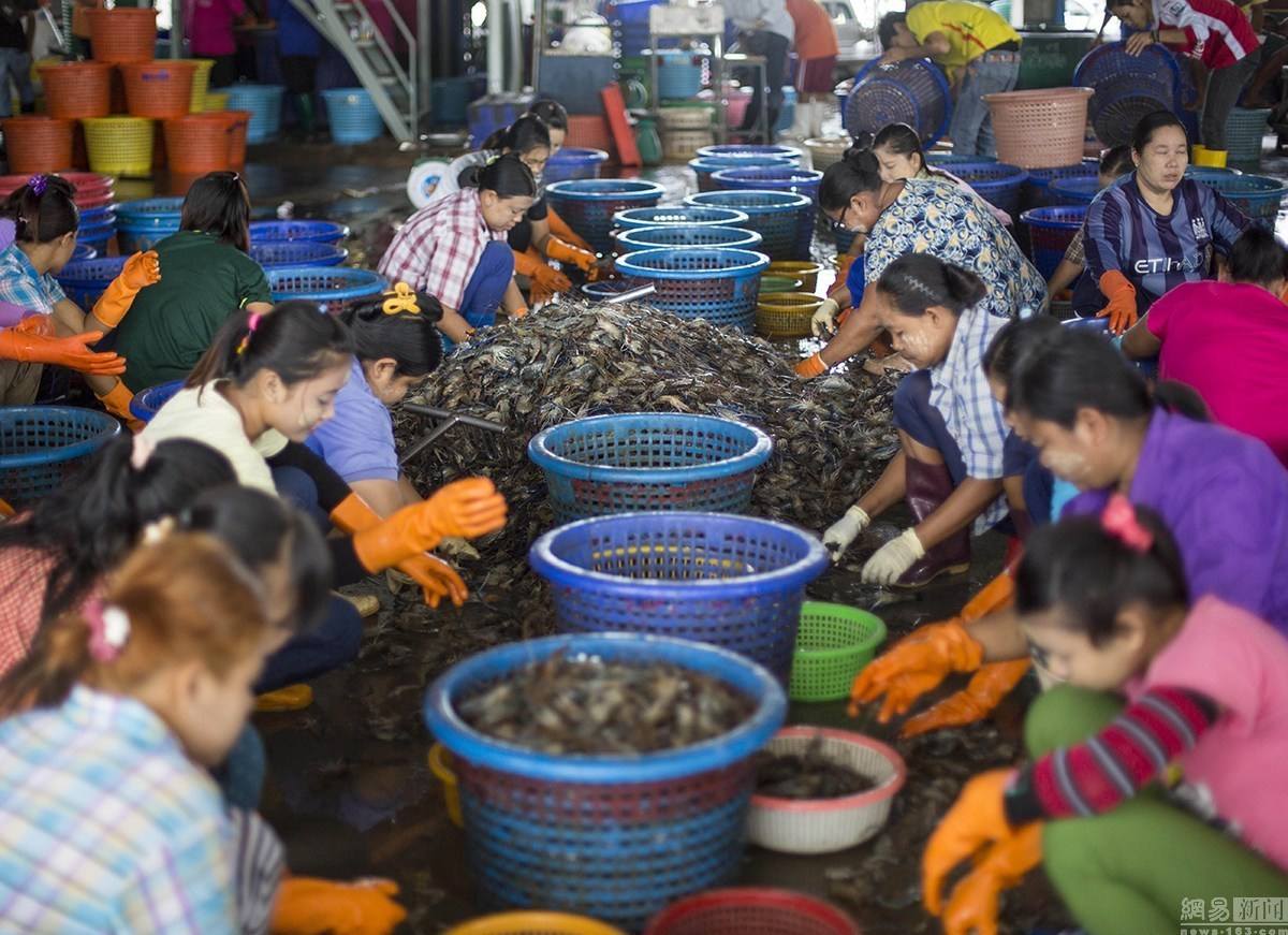 生命至上：东南亚海鲜食品业奴役事件思考
