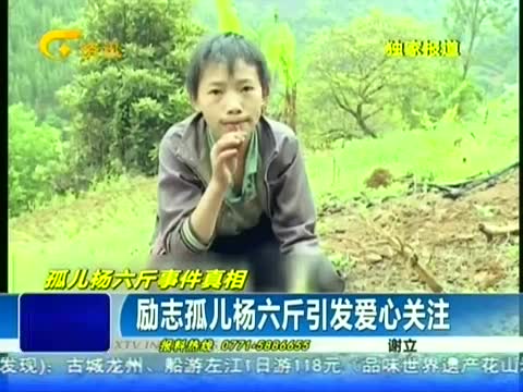资料图片(来自网络)