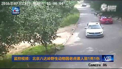资料图片(来自网络)